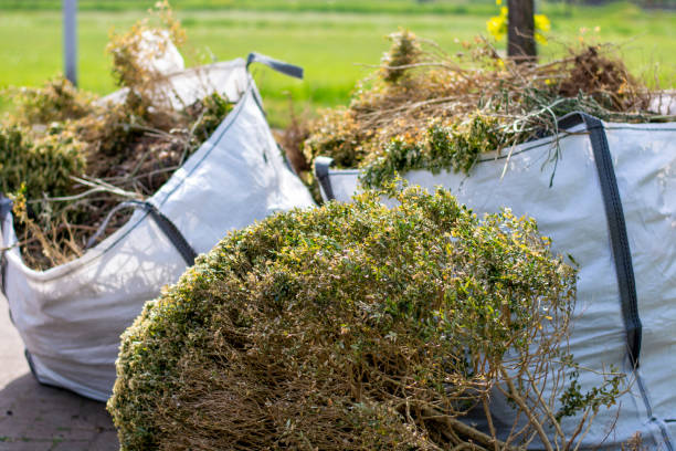 Best Dumpster Rental Services  in Frostproof, FL