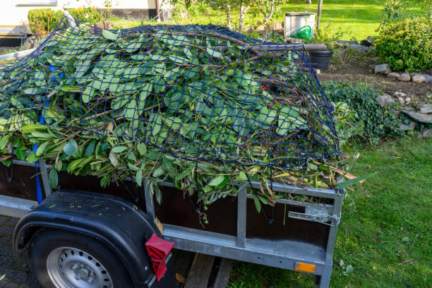 Reliable Frostproof, FL Junk Removal Services Solutions